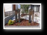 plants