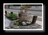 flower bed