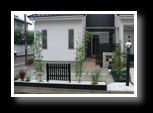 garden after