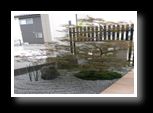 small garden